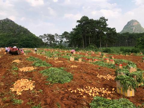 《电商冬季盈利攻略，把握热点、拓展渠道、强化服务》一、引言随着冬季的到来，电商市场也迎来了销售旺季。在这个时期，消费者对商品的购买力增加，购买意愿高涨，使得电商有了巨大的市场空间。本文将深入探讨电商平台如何利用市场热点和营销策略进行销售扩张和客户维护来提升自身盈利能力。二、电商市场分析在当前的经济形势下，电子商务仍然是中国经济发展的重要动力之一。无论是电商行业的规模和消费者的参与度都持续保持着稳定增长的趋势。进入冬季以来随着人们对节假日和消费欲望的不断加深消费者对购买过程的体验感售后服务需求的差