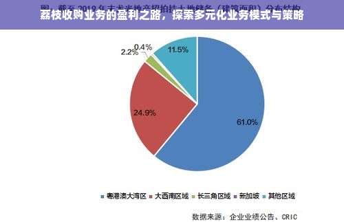 荔枝收购业务的盈利之路，探索多元化业务模式与策略