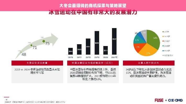 大冬会最赚钱的商机探索与策略展望