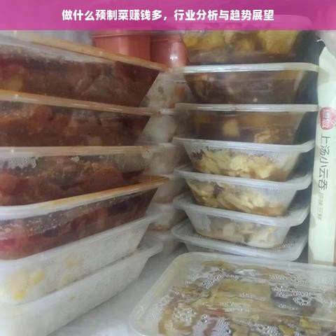 做什么预制菜赚钱多，行业分析与趋势展望