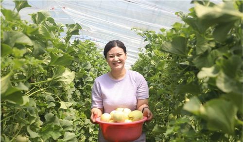 阳山县农村赚钱之道，多元产业融合助力乡村振兴