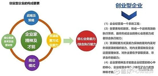 大公司如何通过核心业务和创新策略实现盈利增长