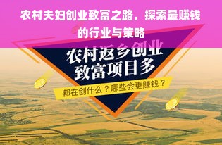 农村夫妇创业致富之路，探索最赚钱的行业与策略