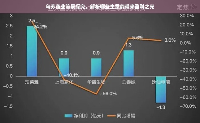 乌苏商业前景探究，解析哪些生意能带来盈利之光