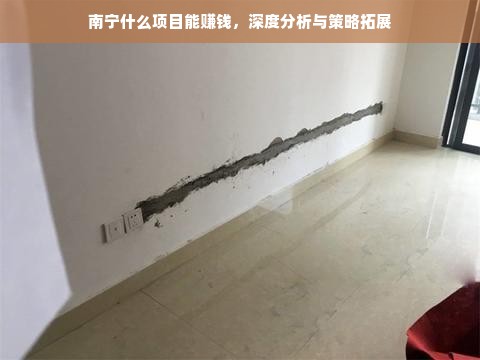 南宁什么项目能赚钱，深度分析与策略拓展