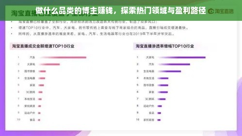 做什么品类的博主赚钱，探索热门领域与盈利路径