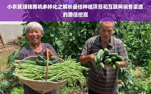 小农民赚钱商机多样化之解析最佳种植项目和互联网销售渠道的路径挖掘