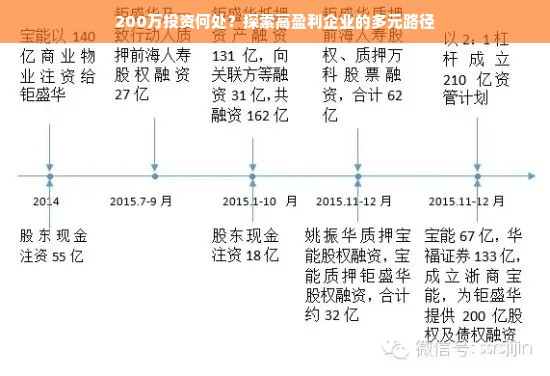 200万投资何处？探索高盈利企业的多元路径