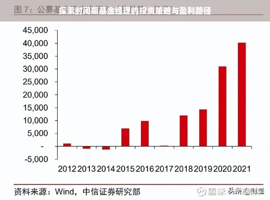 探索封闭期基金经理的投资策略与盈利路径