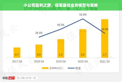 小公司盈利之路，探索最佳业务模型与策略