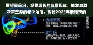 展望最前沿，观察增长的底层规律，触发激烈决策焦虑的老少角落，揭秘2021年最赚钱的生意领域