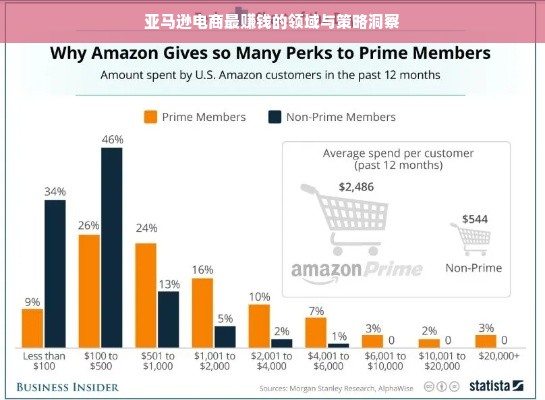亚马逊电商最赚钱的领域与策略洞察
