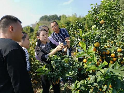 普通男生如何通过直播赚取收入，行业探索与内容创新之路