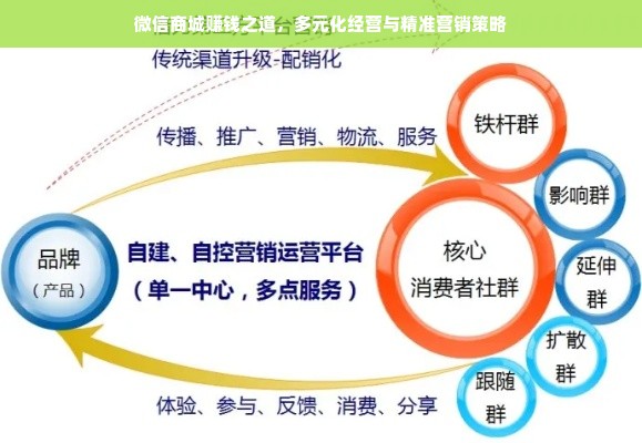 微信商城赚钱之道，多元化经营与精准营销策略