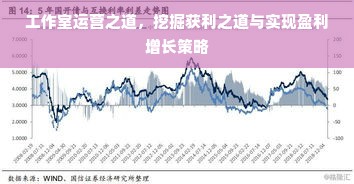 工作室运营之道，挖掘获利之道与实现盈利增长策略