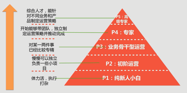 不整容，也能职场赚钱，多元路径下的职业发展与赚钱之道