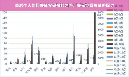 黄岩个人如何快速实现盈利之路，多元经营与策略探讨