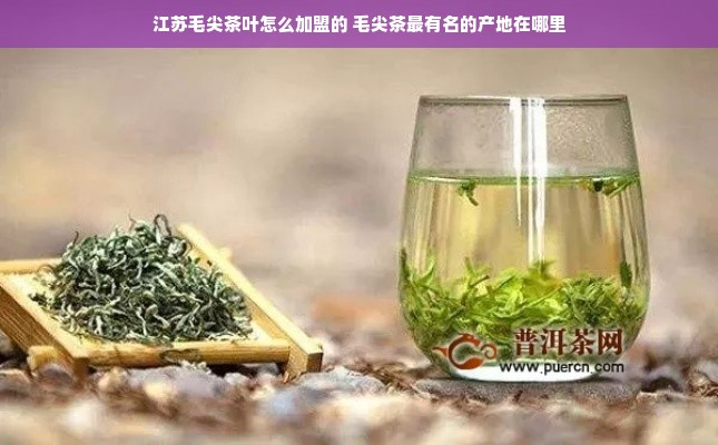 江苏毛尖茶叶怎么加盟的 毛尖茶最有名的产地在哪里