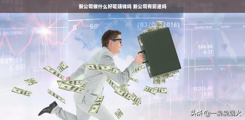 新公司做什么好呢赚钱吗 新公司有前途吗