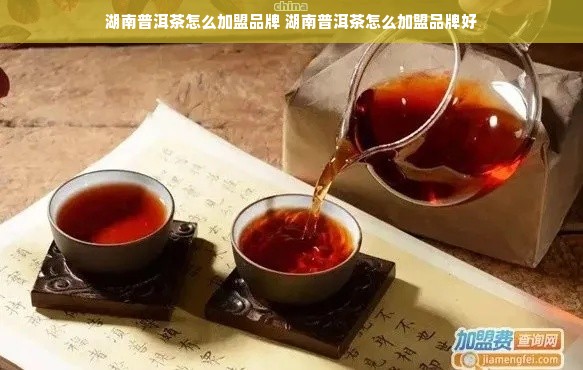 湖南普洱茶怎么加盟品牌 湖南普洱茶怎么加盟品牌好