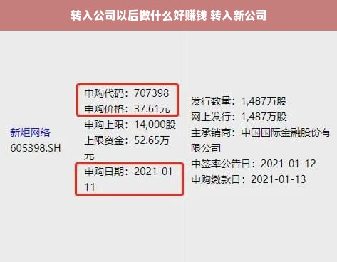 转入公司以后做什么好赚钱 转入新公司