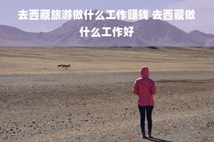 去西藏旅游做什么工作赚钱 去西藏做什么工作好