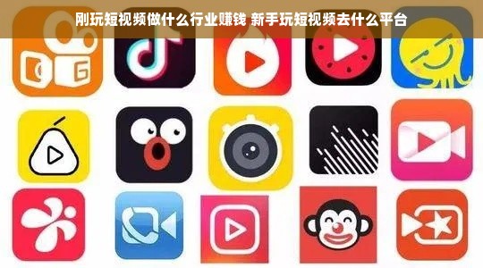 刚玩短视频做什么行业赚钱 新手玩短视频去什么平台