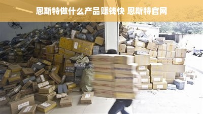 恩斯特做什么产品赚钱快 恩斯特官网