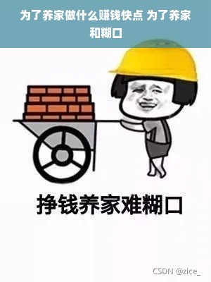 为了养家做什么赚钱快点 为了养家和糊口