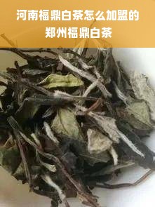 河南福鼎白茶怎么加盟的 郑州福鼎白茶