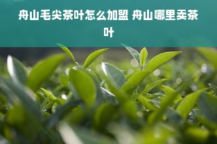 舟山毛尖茶叶怎么加盟 舟山哪里卖茶叶