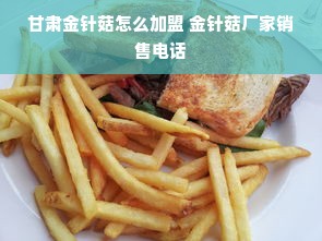 甘肃金针菇怎么加盟 金针菇厂家销售电话