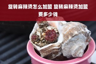 旋转麻辣烫怎么加盟 旋转麻辣烫加盟费多少钱