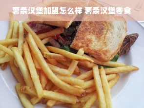 薯条汉堡加盟怎么样 薯条汉堡零食