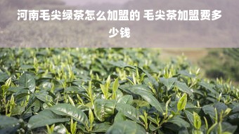 河南毛尖绿茶怎么加盟的 毛尖茶加盟费多少钱