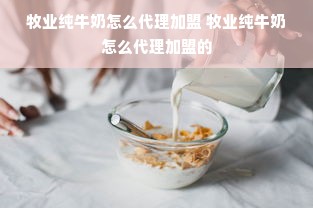 牧业纯牛奶怎么代理加盟 牧业纯牛奶怎么代理加盟的