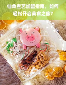 仙食煮艺加盟指南，如何轻松开启美食之旅？