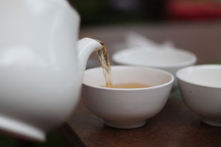 茶鸡杯子加盟指南，如何轻松加盟茶鸡杯子？