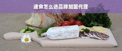 速食怎么选品牌加盟代理