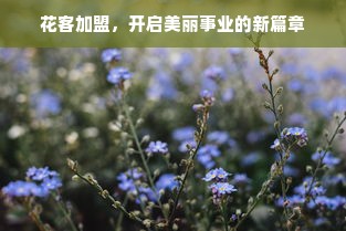 花客加盟，开启美丽事业的新篇章