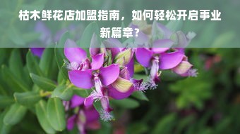 枯木鲜花店加盟指南，如何轻松开启事业新篇章？