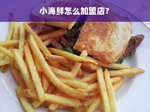 小海鲜怎么加盟店？