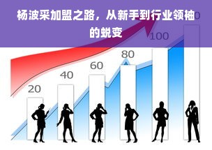 杨波采加盟之路，从新手到行业领袖的蜕变