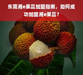 东莞湘e果品加盟指南，如何成功加盟湘e果品？