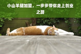 小山羊腿加盟，一步步带你走上创业之路