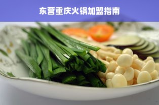 东营重庆火锅加盟指南