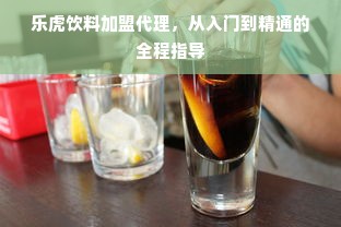 乐虎饮料加盟代理，从入门到精通的全程指导