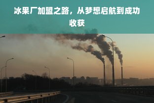 冰果厂加盟之路，从梦想启航到成功收获