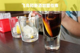 飞鸟和新酒加盟指南