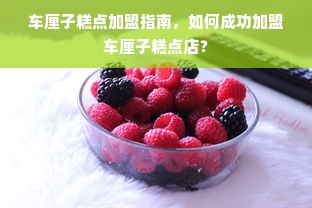 车厘子糕点加盟指南，如何成功加盟车厘子糕点店？